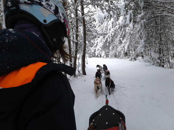 Balade en chiens de traîneaux avec les Traîneaux de la Roche du Pic image