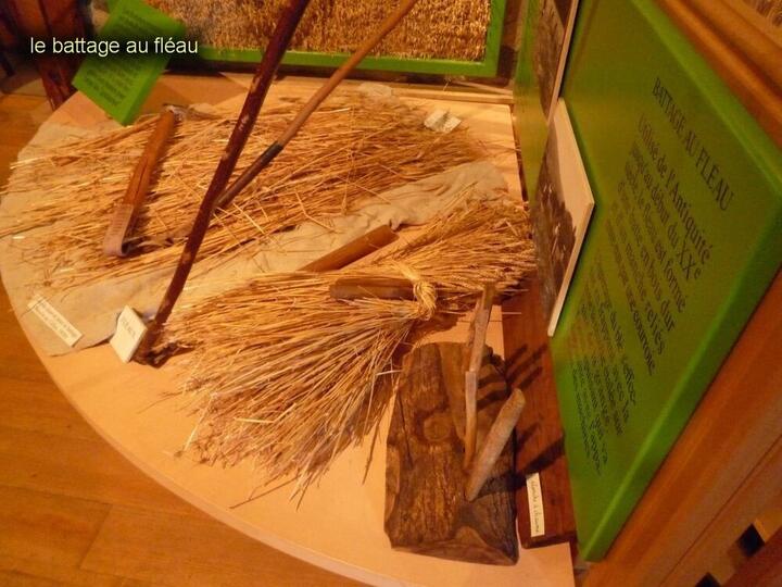 Musee Coltines 14