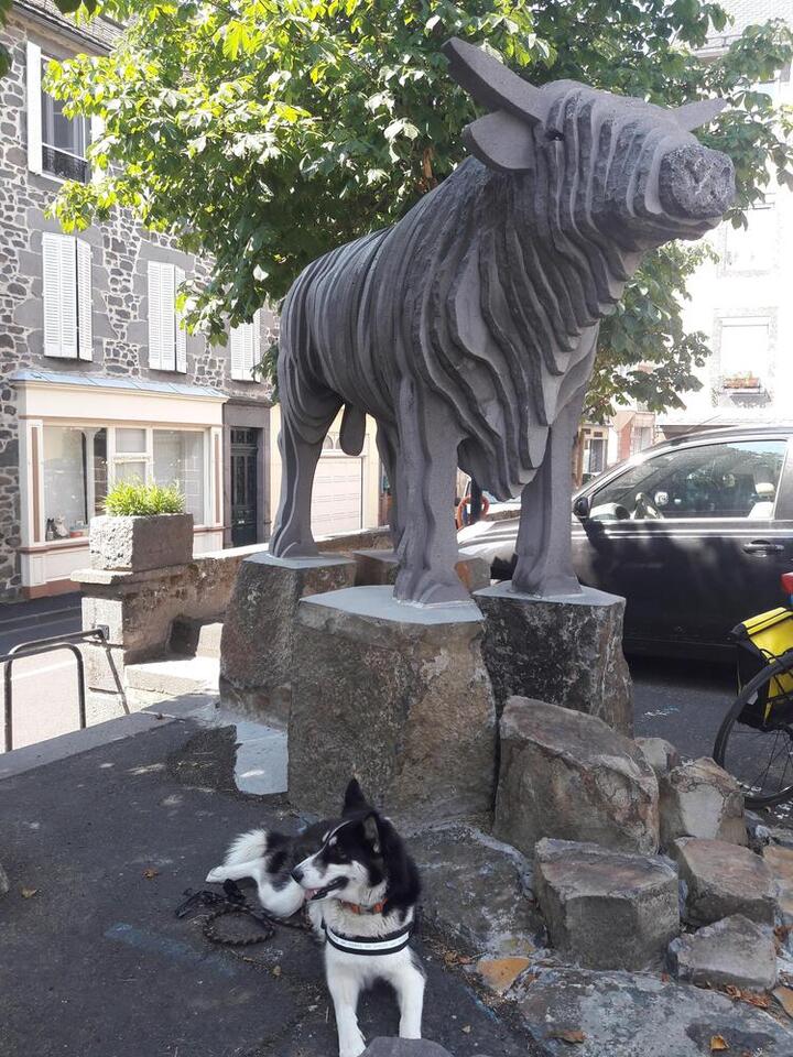 20190725_115814.jpg
