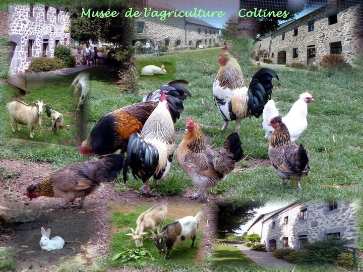 Musee Coltines 18