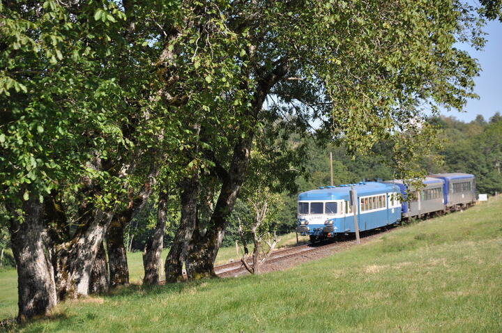 Gentiane Express