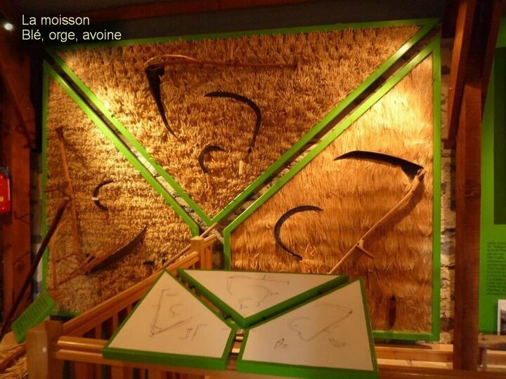 Musee Coltines 13