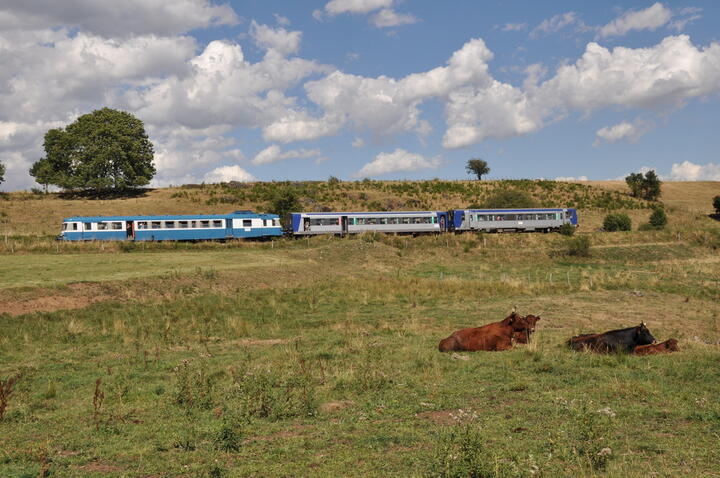 Gentiane Express